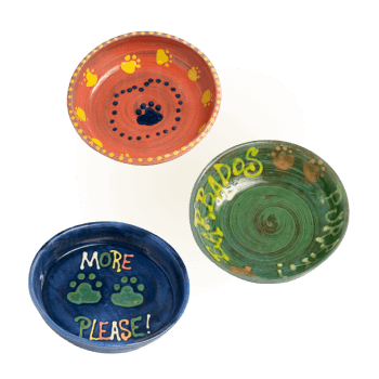 Pet Bowls ceramics